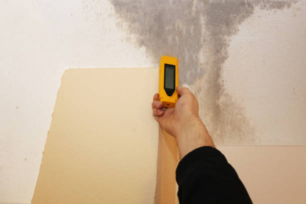 Best Post-Remediation Verification Testing  in Burnettown, SC