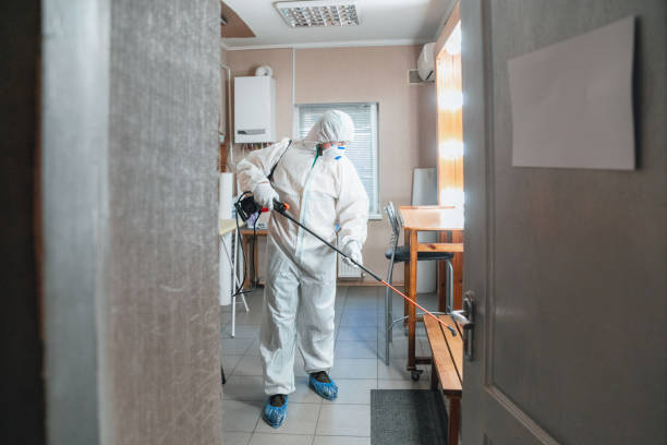 Best Indoor Air Quality Assessment  in Burnettown, SC