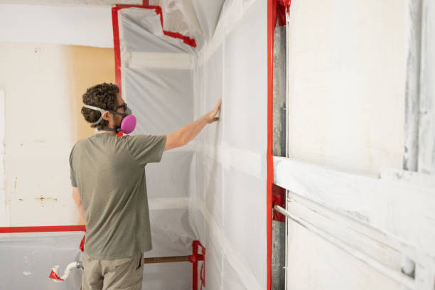 Best Mold Removal for HVAC Installations  in Burnettown, SC