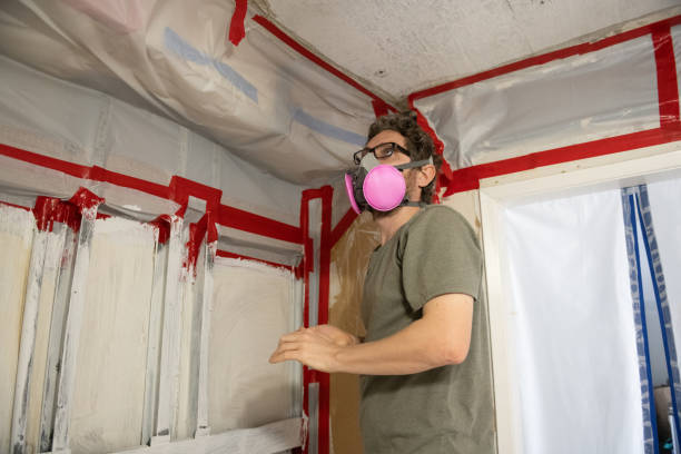 Best Attic Mold Removal  in Burnettown, SC