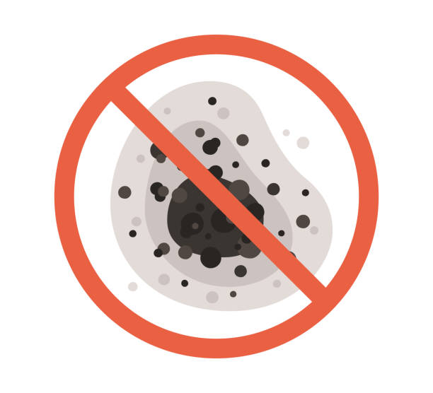 Best Environmental Consulting for Mold Prevention  in Burnettown, SC