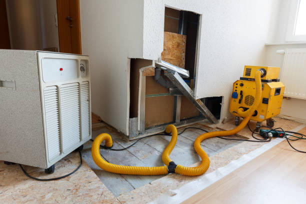 Best HVAC Mold Inspection and Cleaning  in Burnettown, SC