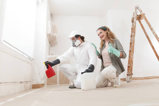 Best Real Estate Mold Inspection  in Burnettown, SC